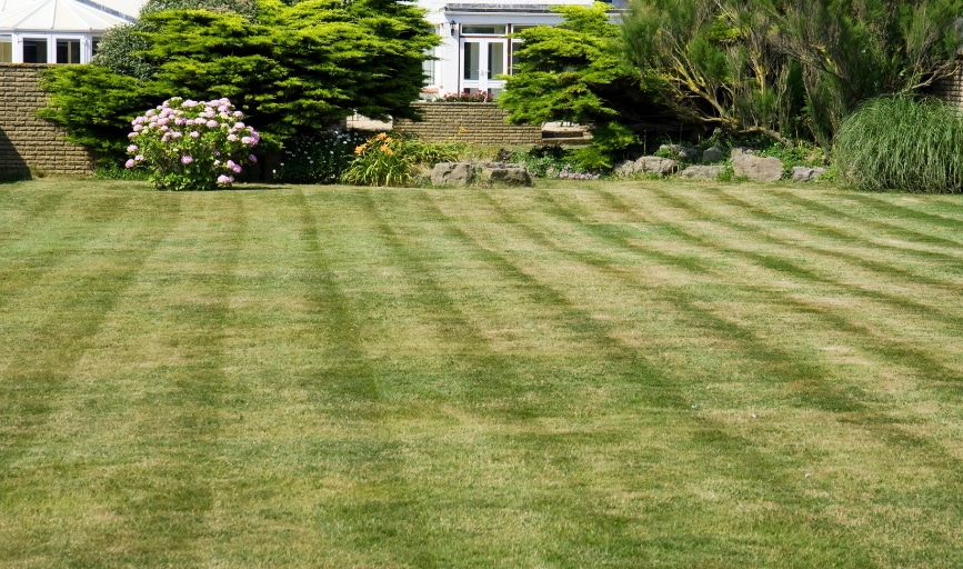 Lawn Care